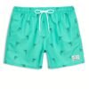 Men's Quick-Dry Swim Trunks with Dolphin Print - Drawstring Waist