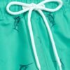 Men's Quick-Dry Swim Trunks with Dolphin Print - Drawstring Waist
