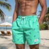 Men's Quick-Dry Swim Trunks with Dolphin Print - Drawstring Waist